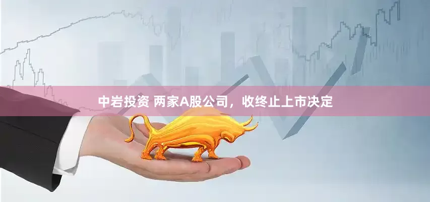 中岩投资 两家A股公司，收终止上市决定