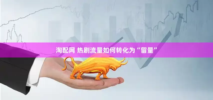 淘配网 热剧流量如何转化为“留量”