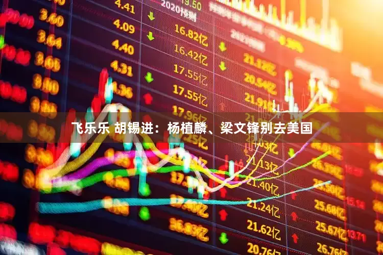 飞乐乐 胡锡进：杨植麟、梁文锋别去美国